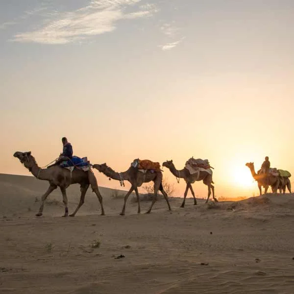 Jaisalmer Camel Safari